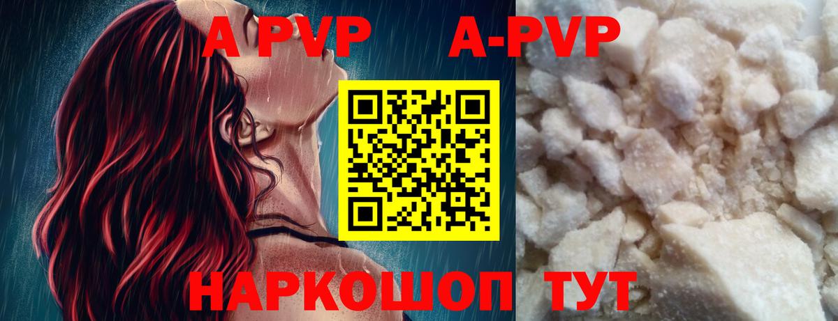 Пугачёв  А ПВП СК  Вход с VPN  Alfa_PVP мука 